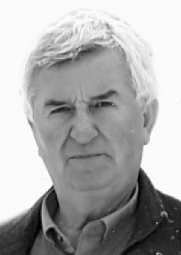 Citulje Novosti rs itulje Novosti